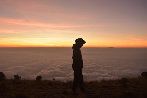 silhouette, sunrise, woman-3607376.jpg